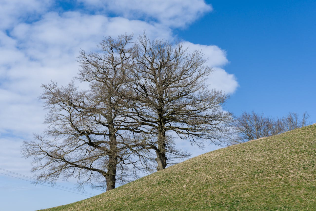 Өнөөдөр Алтайн салбар уулс, Арц Богдын өвөр хоолойгоор салхи, шороон шуургатай